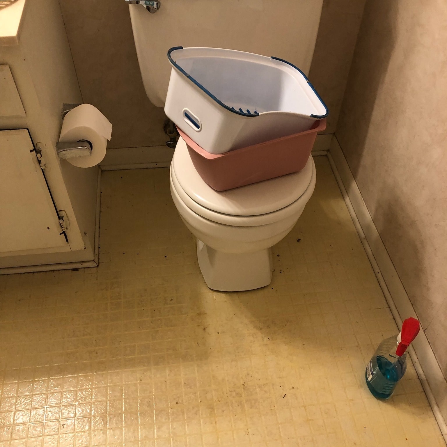 Toilet Before- Discoloration around the front was coming up from underneath the laminate