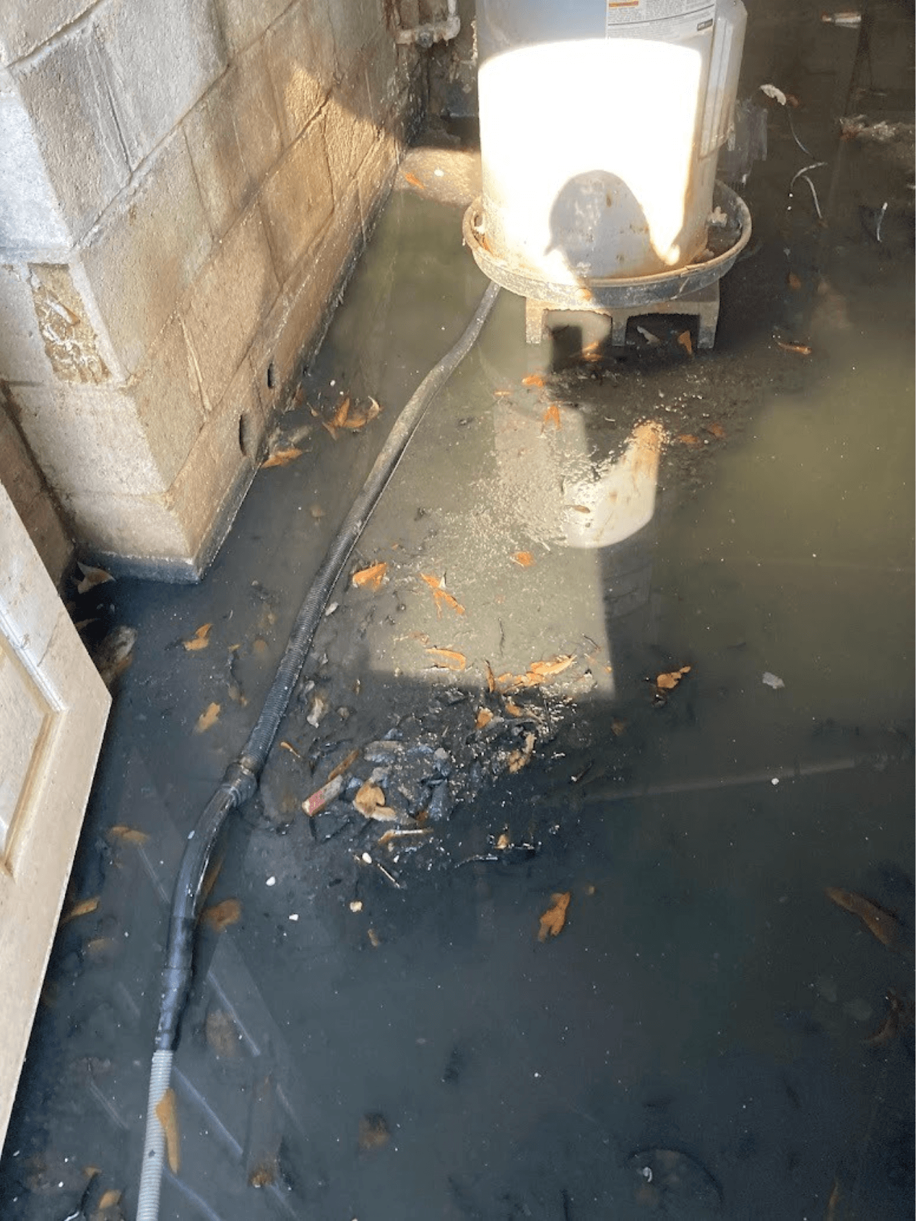 A flooded basement in Spartanburg
