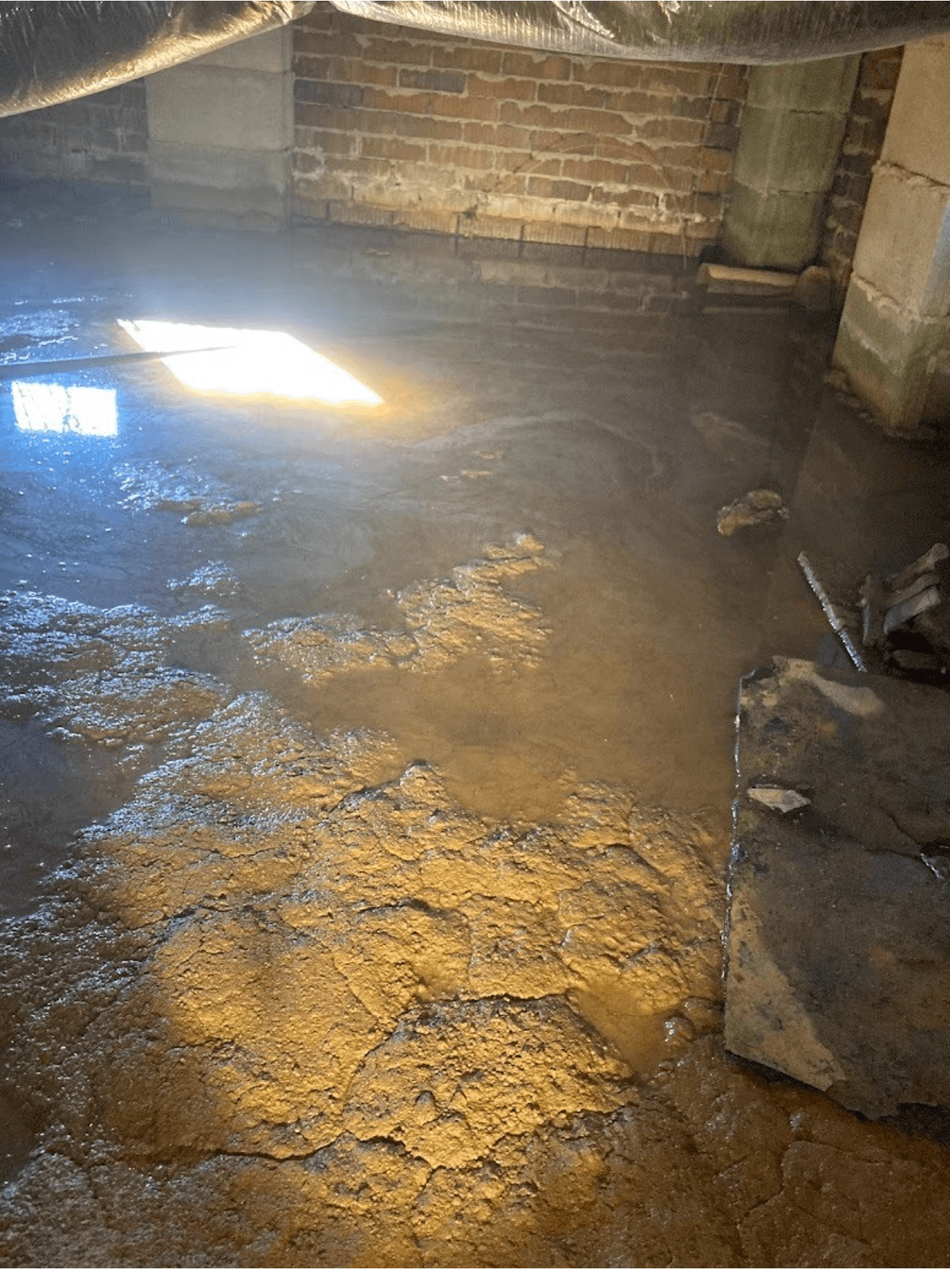 An unfinished basement full of water in Spartanburg